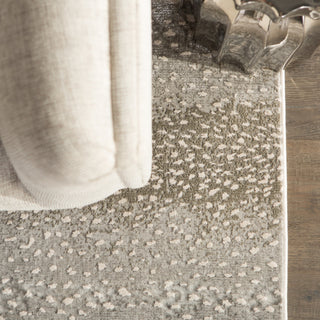 Jaipur Living Catalyst Axis CTY08 Gray/Natural Area Rug Main Image
