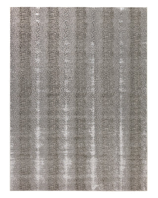 Jaipur Living Catalyst Axis CTY08 Gray/Natural Area Rug main image