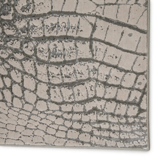 Jaipur Living Catalyst Canberra CTY09 Gray/Black Area Rug Detail Image