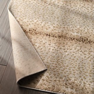 Jaipur Living Catalyst Axis CTY13 Tan/Gray Area Rug Lifestyle Image Feature