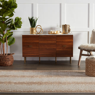 Jaipur Living Catalyst Axis CTY13 Tan/Gray Area Rug Collection Image