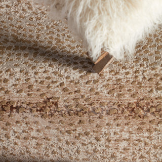Jaipur Living Catalyst Axis CTY13 Tan/Gray Area Rug Main Image