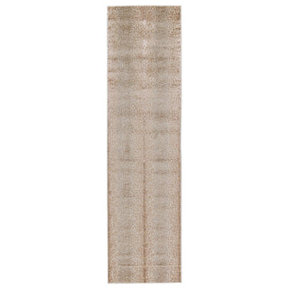 Jaipur Living Catalyst Axis CTY13 Tan/Gray Area Rug Runner Image