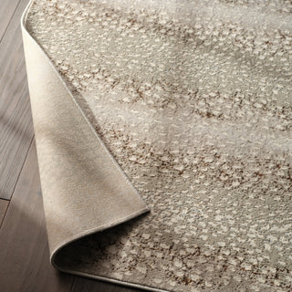 Jaipur Living Catalyst Axis CTY14 Light Gray/Brown Area Rug Lifestyle Image