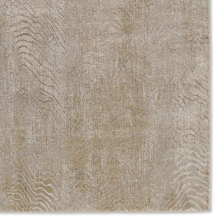Jaipur Living Catalyst Dune CTY16 Brown/Taupe Area Rug Detail Image