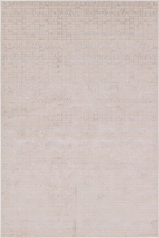 Jaipur Living Catalyst Taleen CTY31 Cream/Silver Area Rug