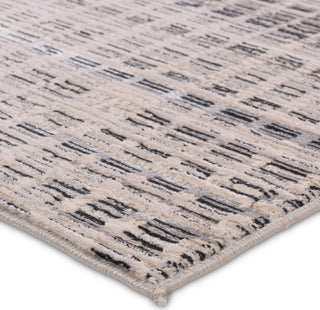 Jaipur Living Catalyst Siran CTY32 Gray/Cream Area Rug