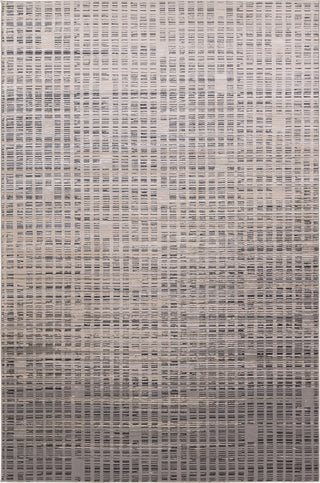 Jaipur Living Catalyst Siran CTY32 Gray/Cream Area Rug