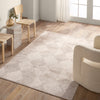 Jaipur Living Catalyst Rehan CTY33 Light Gray/Silver Area Rug