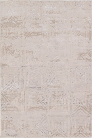 Jaipur Living Catalyst Rehan CTY33 Light Gray/Silver Area Rug