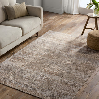 Jaipur Living Catalyst Eshe CTY34 Tan/Bronze Area Rug Lifestyle Image Feature