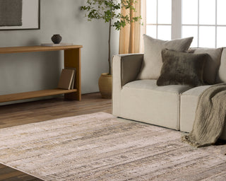 Jaipur Living Catalyst Elysia CTY37 Gray/Cream Area Rug Lifestyle Image