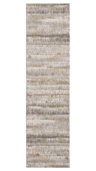 Jaipur Living Catalyst Elysia CTY37 Gray/Cream Area Rug Runner Image