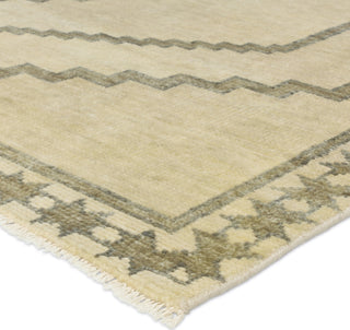 Jaipur Living Cyprus Paphos CYP03 Green/Gray Area Rug