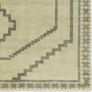 Jaipur Living Cyprus Paphos CYP03 Green/Gray Area Rug