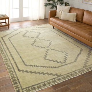 Jaipur Living Cyprus Paphos CYP03 Green/Gray Area Rug