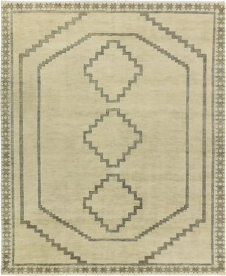 Jaipur Living Cyprus Paphos CYP03 Green/Gray Area Rug