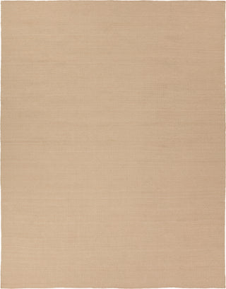 Jaipur Living Dante Cordova DAN01 Tan/ Area Rug