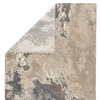 Jaipur Living Delmara Aegean DLM02 Gray/Beige Area Rug Backing Image