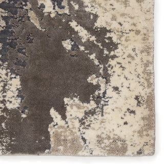 Jaipur Living Delmara Aegean DLM02 Gray/Beige Area Rug Detail Image