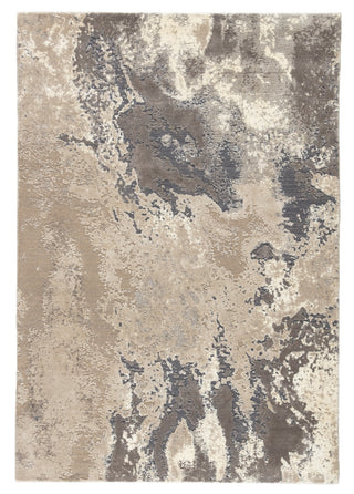 Jaipur Living Delmara Aegean DLM02 Gray/Beige Area Rug main image