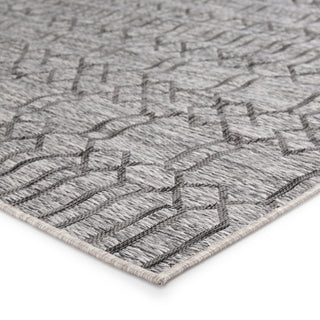 Jaipur Living Decora Calcutta DNC21 Gray Area Rug by Nikki Chu Corner Image
