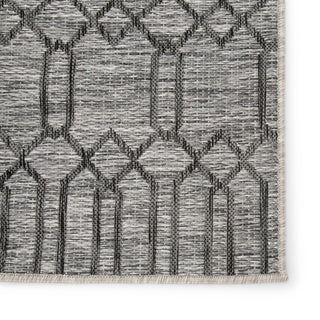 Jaipur Living Decora Calcutta DNC21 Gray Area Rug by Nikki Chu Detail Image