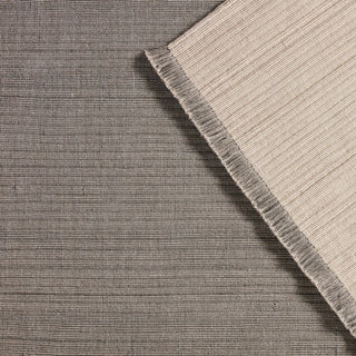 Jaipur Living Drezden Engild DRE02 Light Gray/Dark Gray Area Rug Collection Image