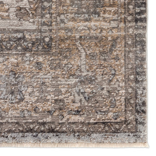 Jaipur Living En Blanc Venn EBC05 Tan/Gray Area Rug by Vibe Corner Image