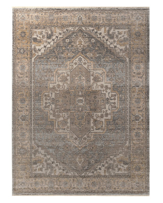 Jaipur Living En Blanc Venn EBC05 Tan/Gray Area Rug by Vibe main image