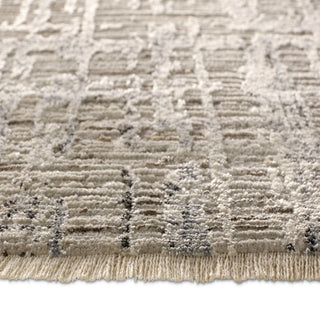 Jaipur Living En Blanc Sovis EBC10 Light Gray/Ivory Area Rug by Vibe Backing Image