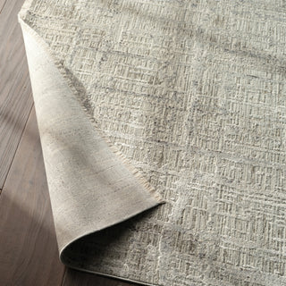 Jaipur Living En Blanc Sovis EBC10 Light Gray/Ivory Area Rug by Vibe Lifestyle Image