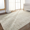 Jaipur Living En Blanc Sovis EBC10 Light Gray/Ivory Area Rug by Vibe Collection Image