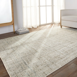 Jaipur Living En Blanc Sovis EBC10 Light Gray/Ivory Area Rug by Vibe Collection Image