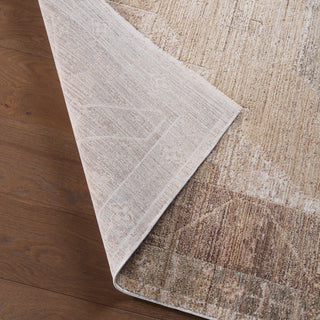 Jaipur Living Ember Solace Divinity EBS01 Tan / Beige/Brown Area Rug Lifestyle Image Feature