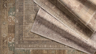 Jaipur Living Ember Solace Divinity EBS01 Tan / Beige/Brown Area Rug Collection Image
