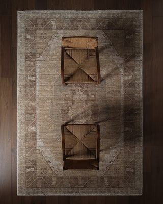 Jaipur Living Ember Solace Divinity EBS01 Tan / Beige/Brown Area Rug Lifestyle Image
