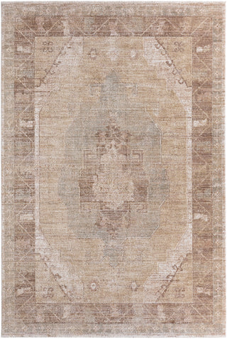 Jaipur Living Ember Solace Divinity EBS01 Tan / Beige/Brown Area Rug main image