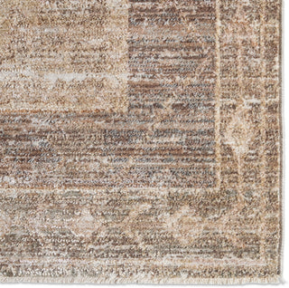 Jaipur Living Ember Solace Gobaro EBS02 Brown/Green Area Rug Detail Image