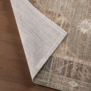 Jaipur Living Ember Solace Gobaro EBS02 Brown/Green Area Rug Lifestyle Image Feature