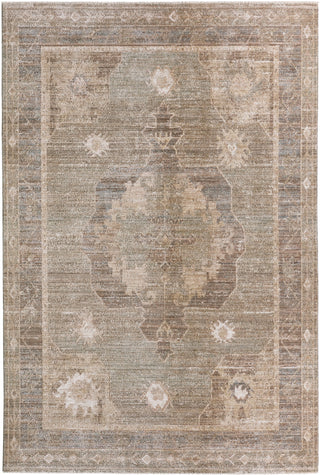 Jaipur Living Ember Solace Gobaro EBS02 Brown/Green Area Rug main image