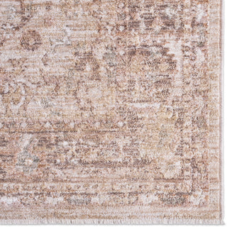 Jaipur Living Ember Solace Shaviv EBS03 Tan / Beige/Green Area Rug Detail Image