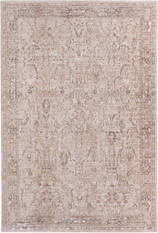 Jaipur Living Ember Solace Shaviv EBS03 Tan / Beige/Green Area Rug main image
