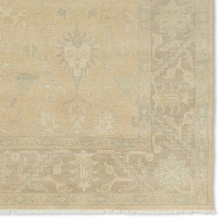 Jaipur Living Eloquent ELQ06 Area Rug Detail Image