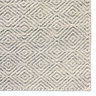 Jaipur Living Enclave Bramble ENC03 Ivory/Gray Area Rug Corner Image