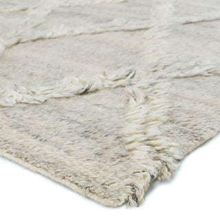 Jaipur Living Enavi ENV01 Area Rug Corner Image