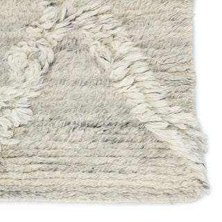 Jaipur Living Enavi ENV01 Area Rug Detail Image