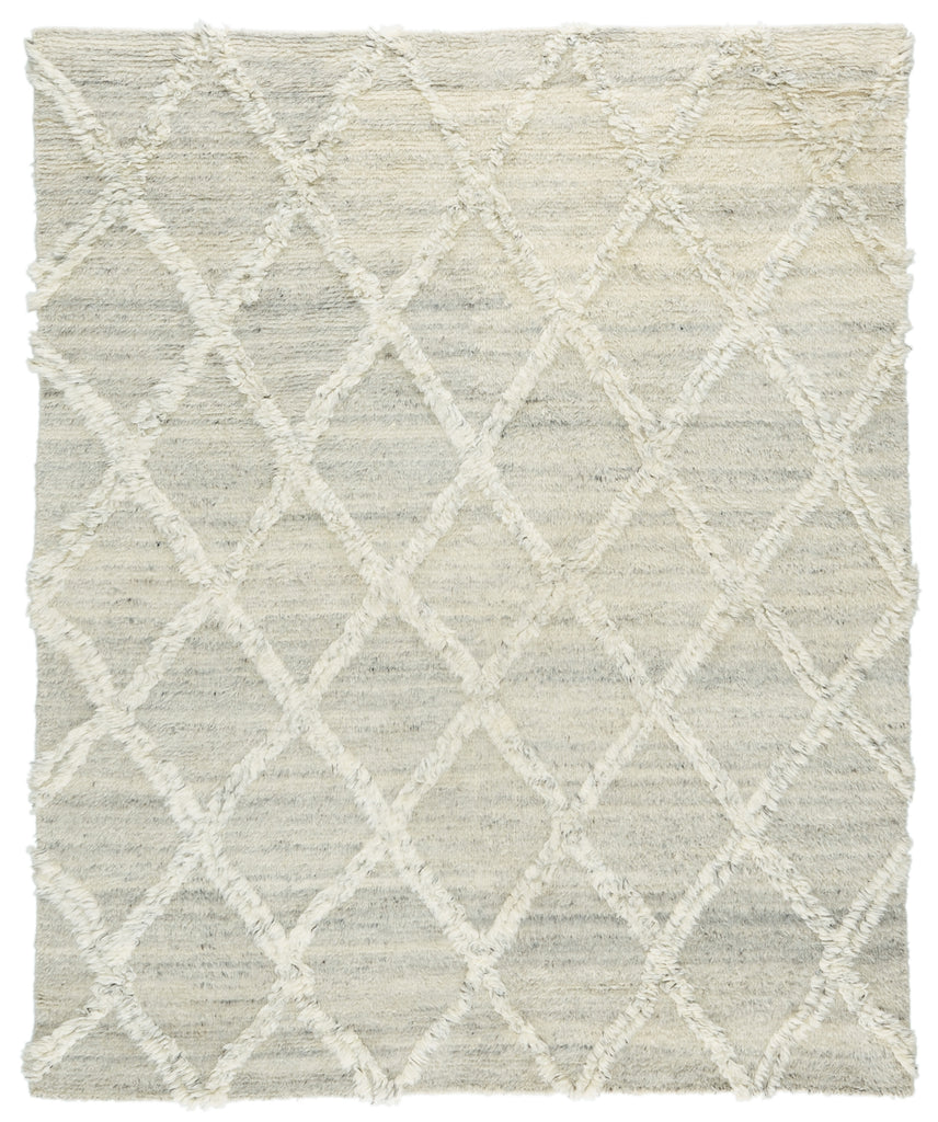 Jaipur Living Enavi ENV01 Area Rug main image