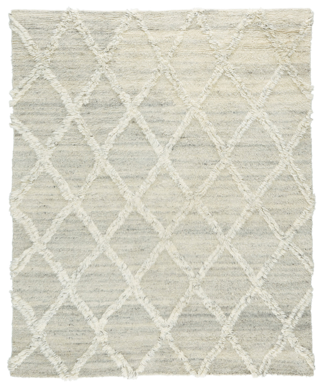 Jaipur Living Enavi ENV01 Area Rug – Incredible Rugs and Decor