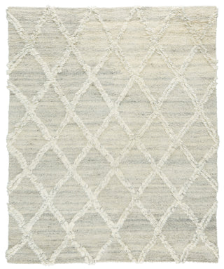 Jaipur Living Enavi ENV01 Area Rug main image